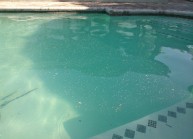 Professional Wilton Manors Pool Services To Clean Your Pool