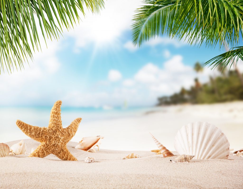 Summer sandy beach with blur ocean on background